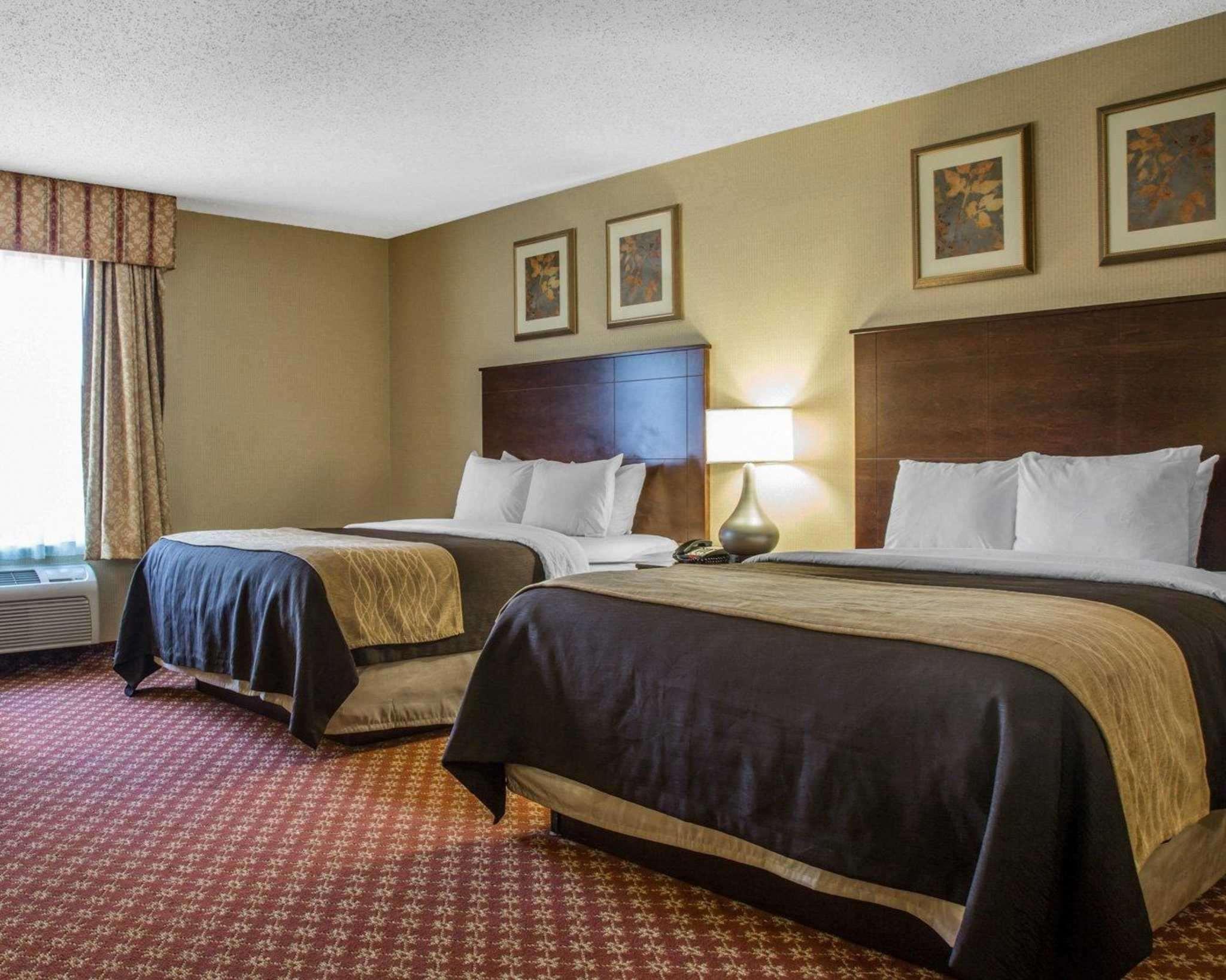 Comfort Inn Naugatuck-Shelton, Ct Εξωτερικό φωτογραφία