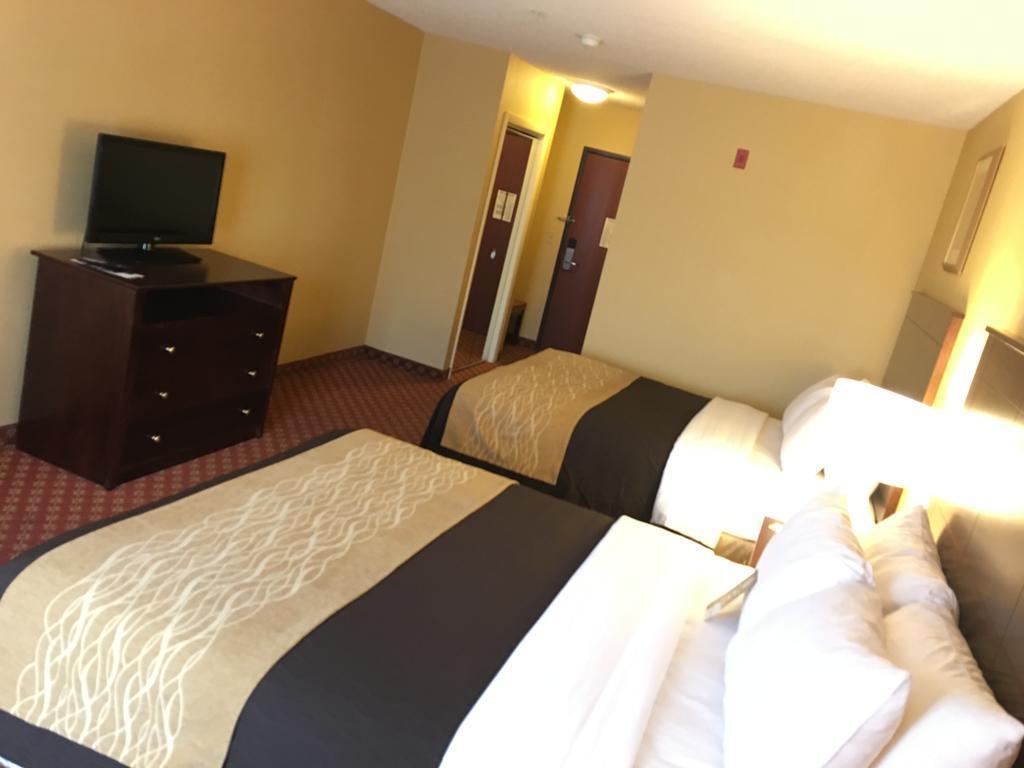 Comfort Inn Naugatuck-Shelton, Ct Εξωτερικό φωτογραφία