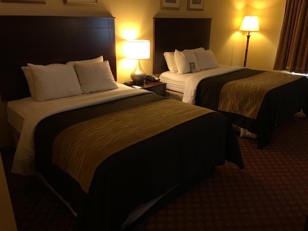 Comfort Inn Naugatuck-Shelton, Ct Εξωτερικό φωτογραφία